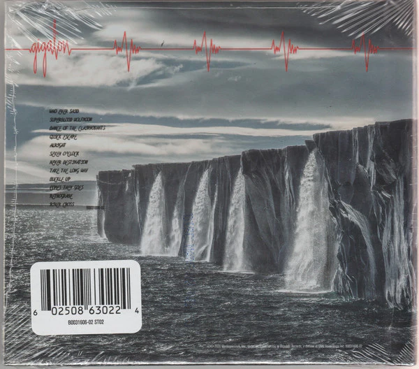 CD Pearl Jam – Gigaton - Image 2