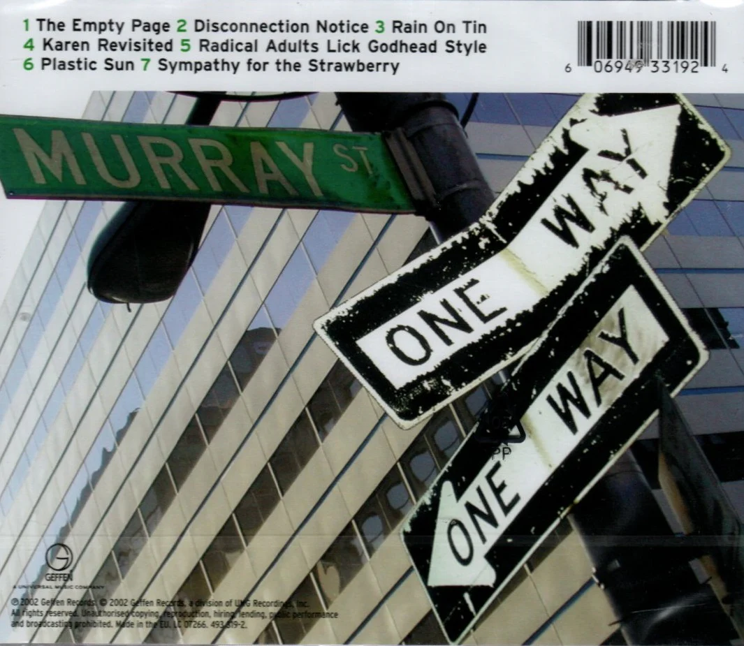 CD Sonic Youth ‎– Murray Street - Image 2