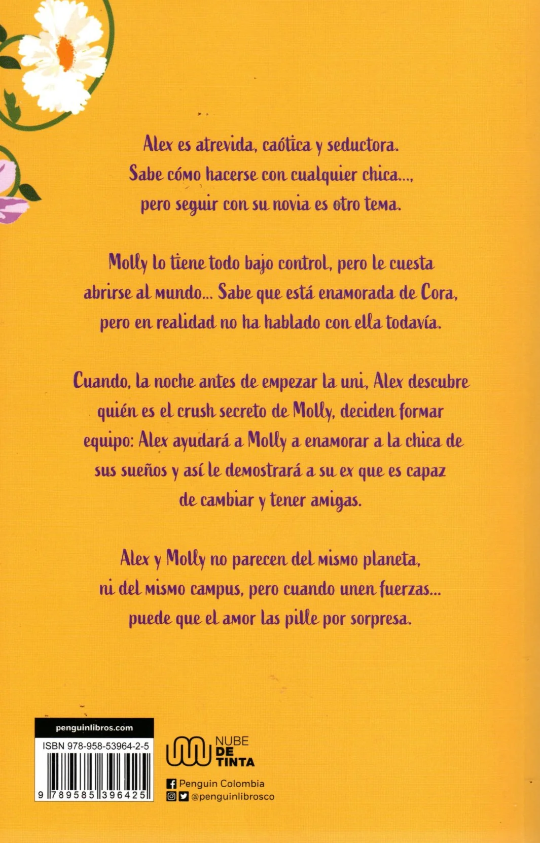 Libro Alyson Derrick/ Rachael Lippincott - Chica Conoce Chica - Image 2