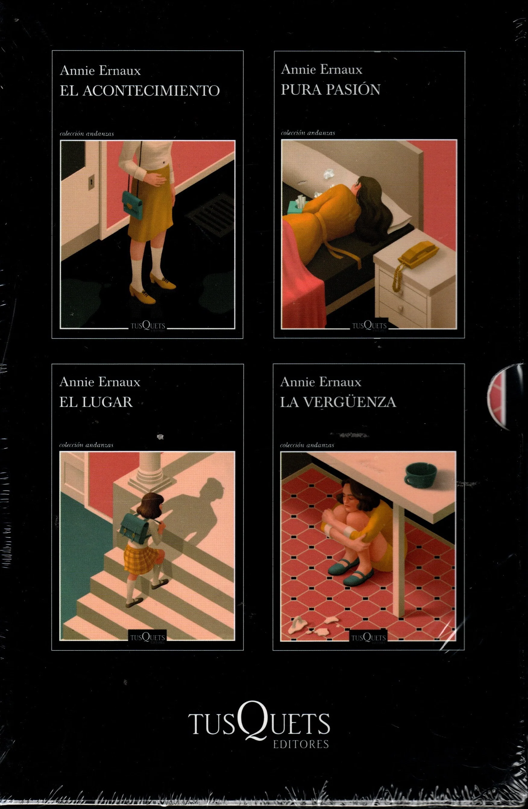 Libro Annie Ernaux - Premio nobel de Literatura 2022 - Image 2