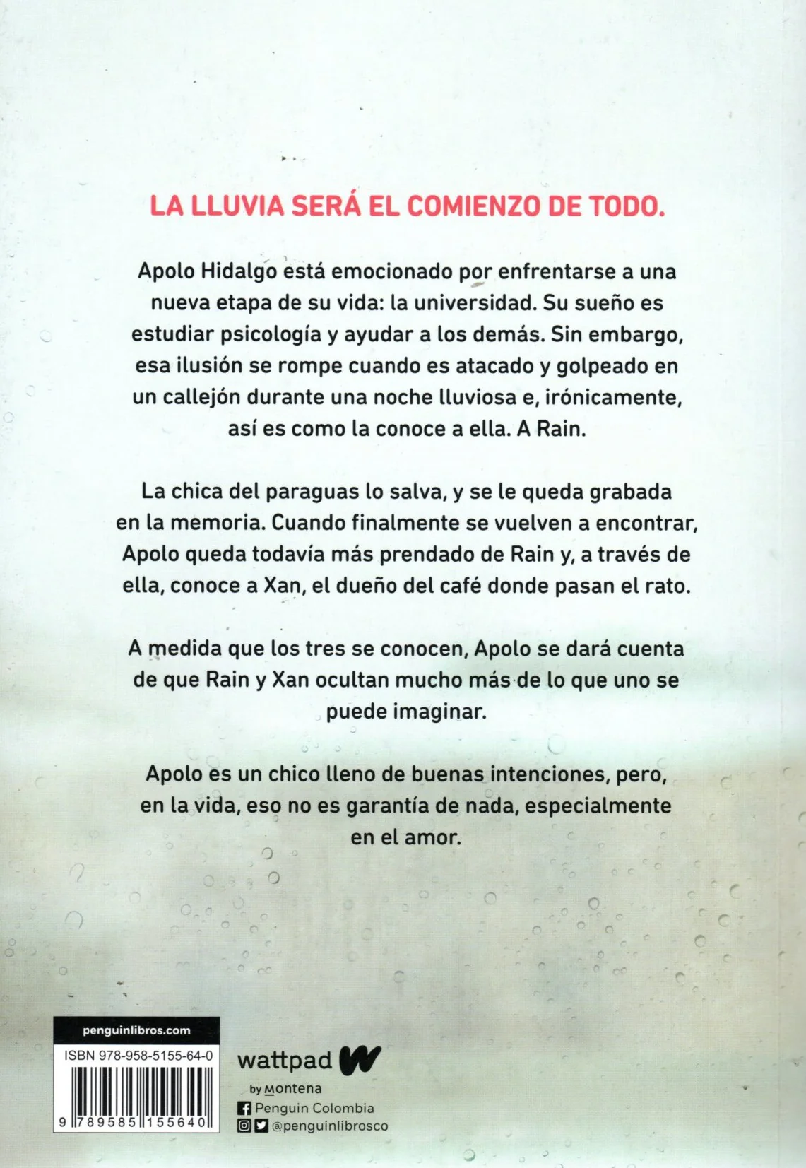 Libro Ariana Godoy - A través de la lluvia - Image 2