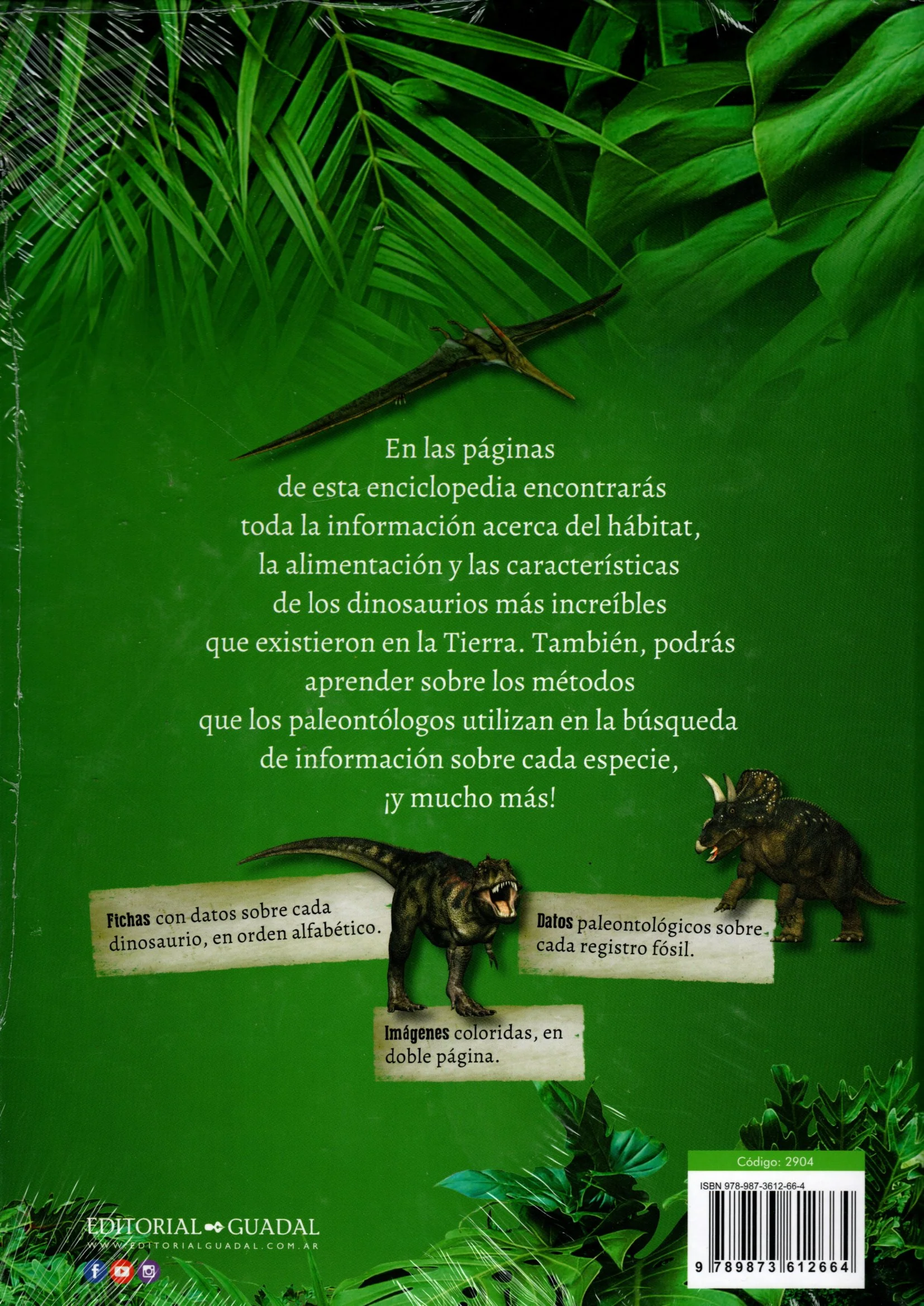 Libro Enciclopedia De Dinosaurios - Image 2