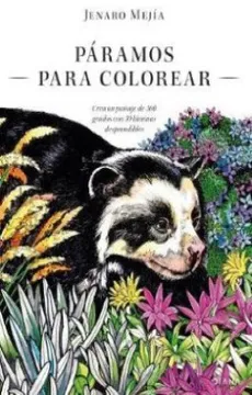 Libro Jenaro Mejia - Paramos Para Colorear