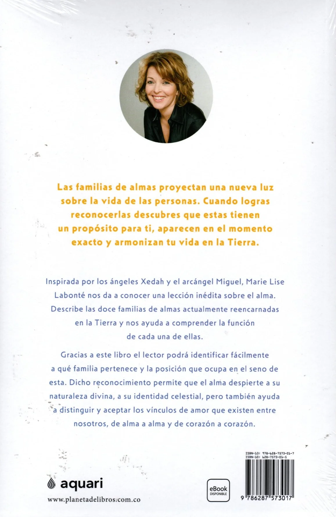 Libro Marie Lise Labonté - Las familias de almas - Image 2