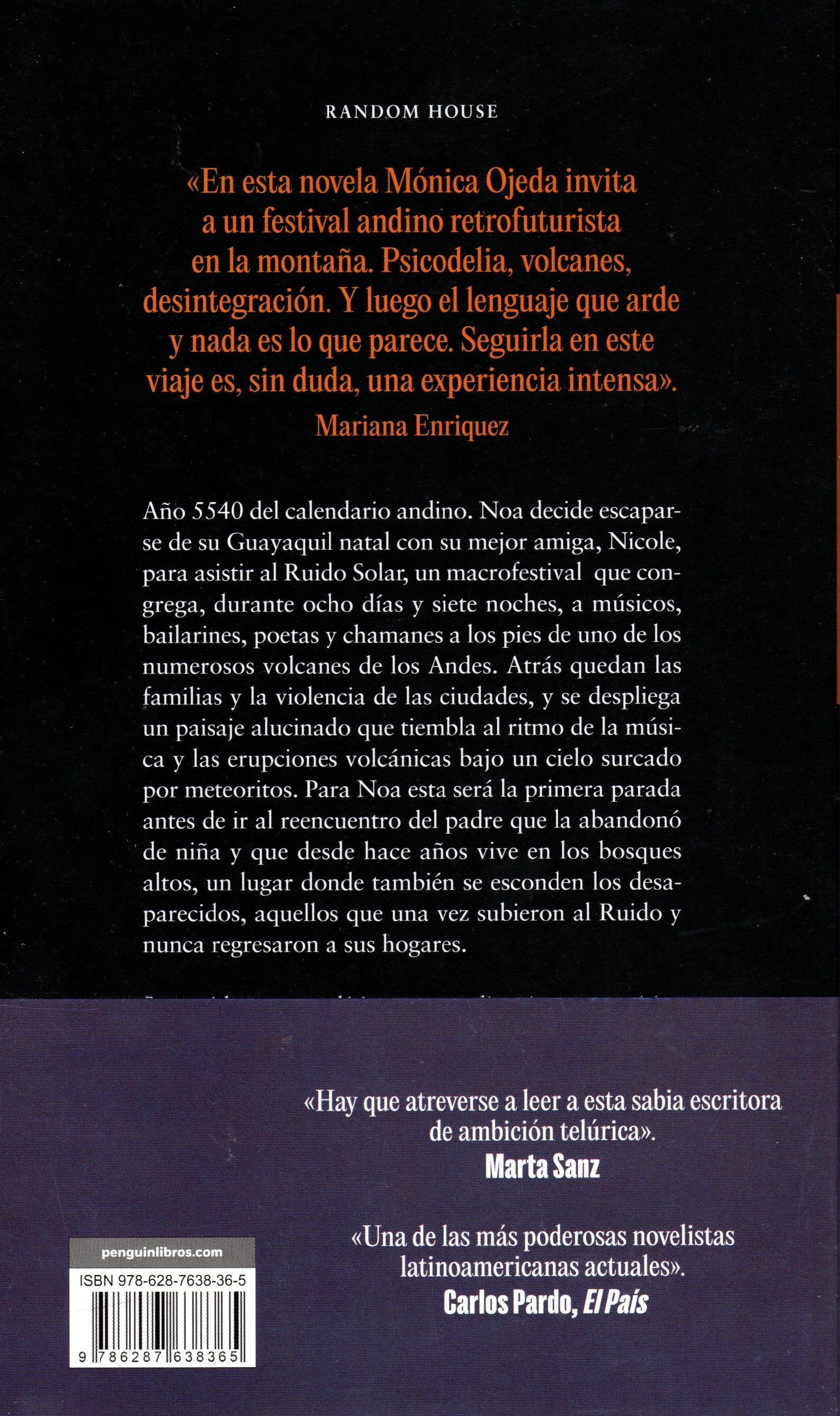 Libro Monica Ojeda - Chamanes eléctricos en la fiesta del sol - Image 2