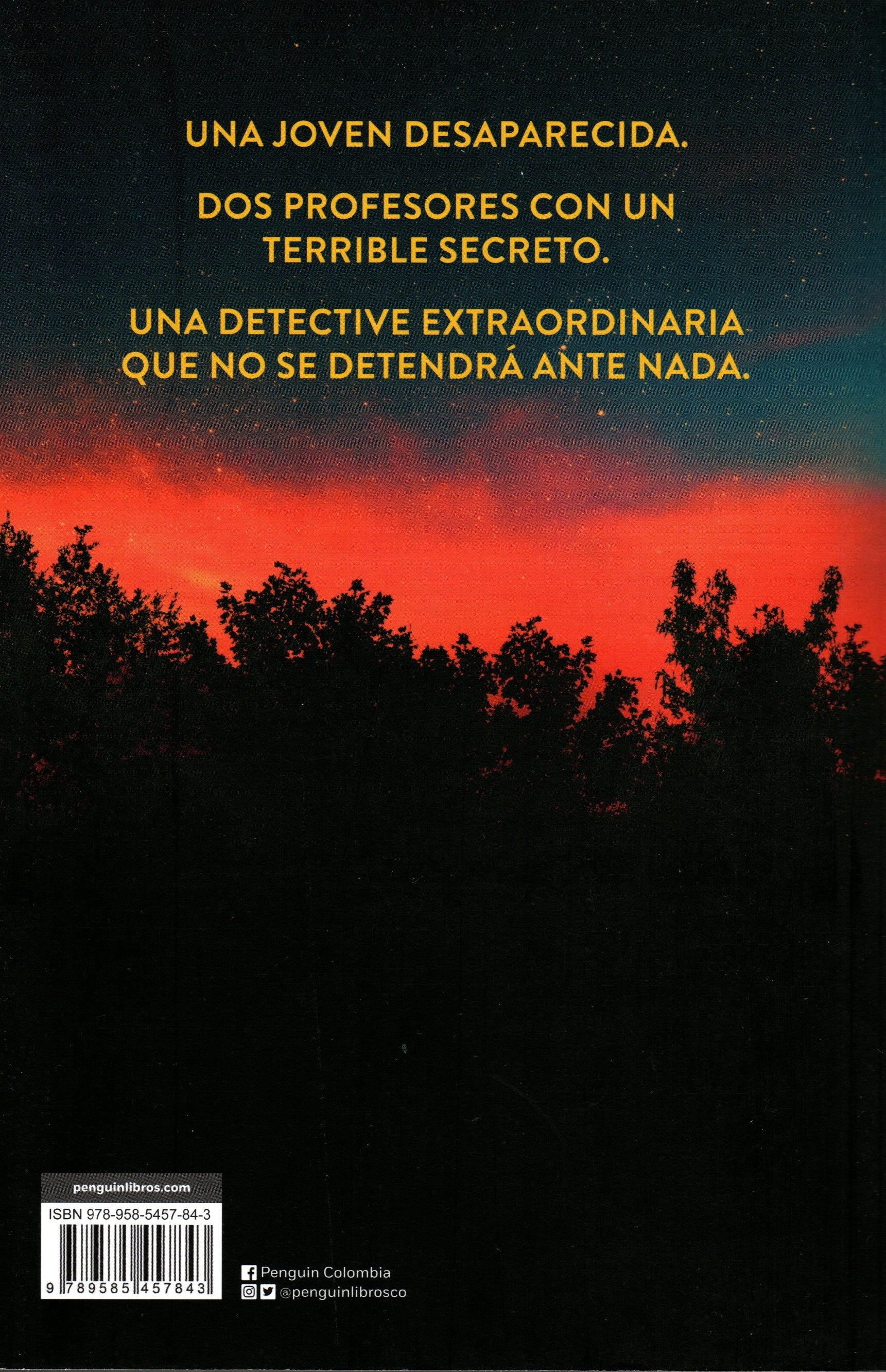 Libro Stephen King - Holly - Image 2