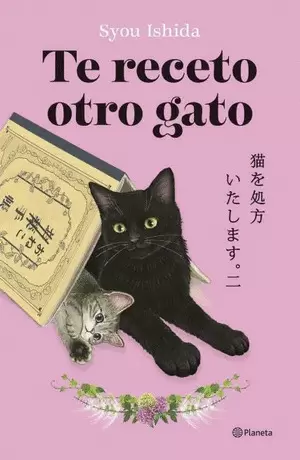 Libro Syou Ishida - Te receto otro gato