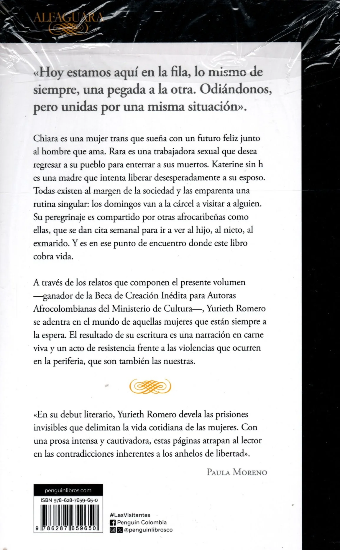 Libro Yurieth Romero - Las visitantes - Image 2