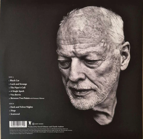 LP David Gilmour – Luck And Strange - Image 2