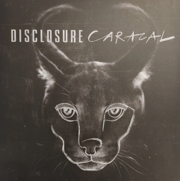LP Disclosure – Caracal