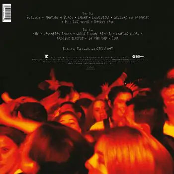 LP Green Day - Dookie - Image 2