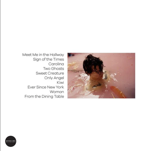 LP Harry Styles – Harry Styles - Image 2