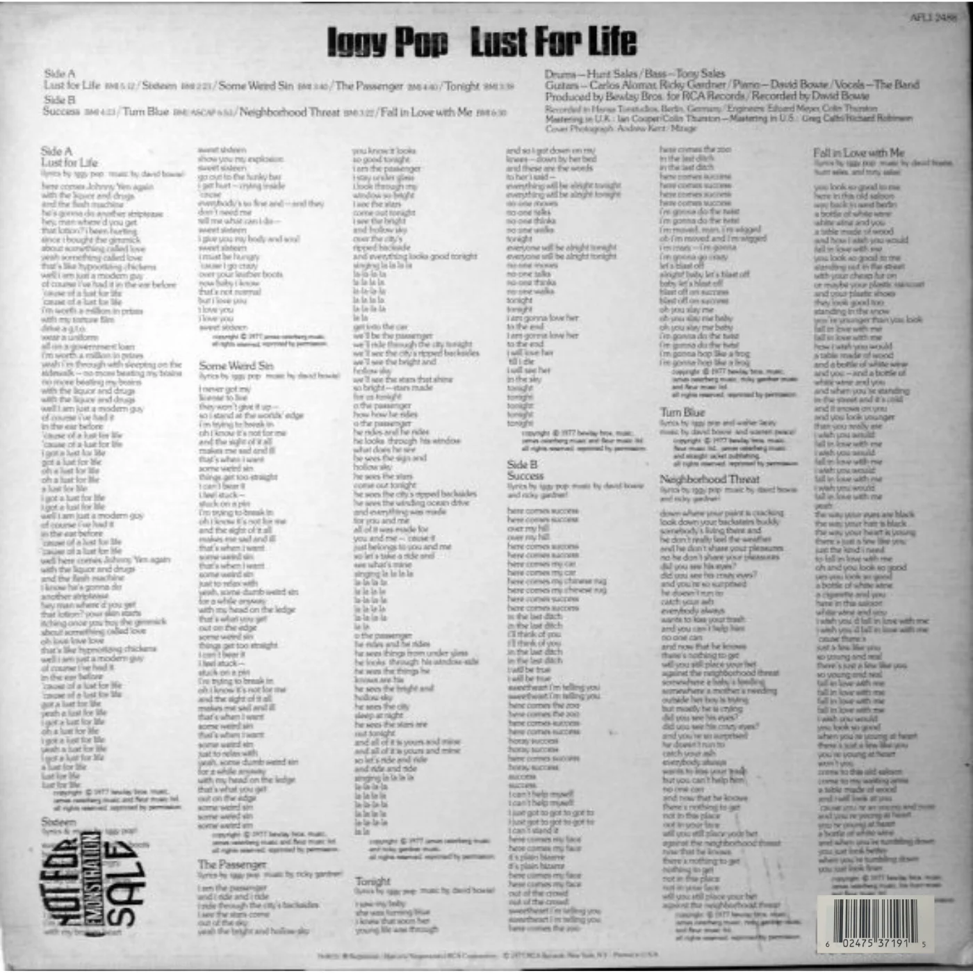 LP Iggy Pop - Lust For Life - Image 2