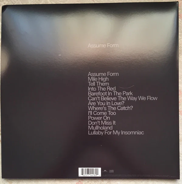 LP James Blake – Assume Form - Image 2
