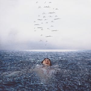 LP Shawn Mendes - Wonder
