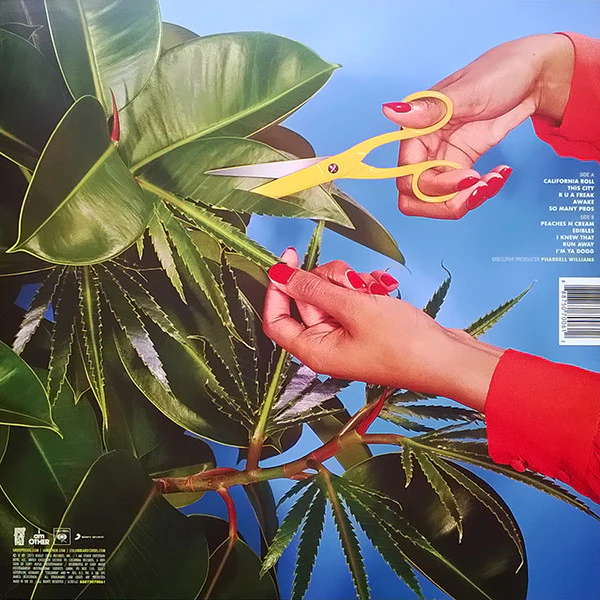 LP Snoop Dogg – Bush - Image 2