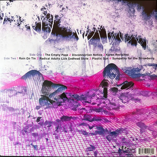 LP Sonic Youth – Murray Street - Image 2