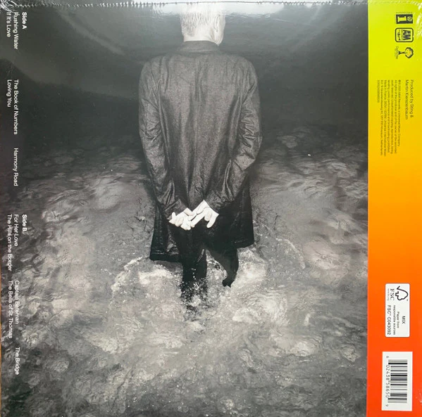 LP Sting – The Bridge - Image 2