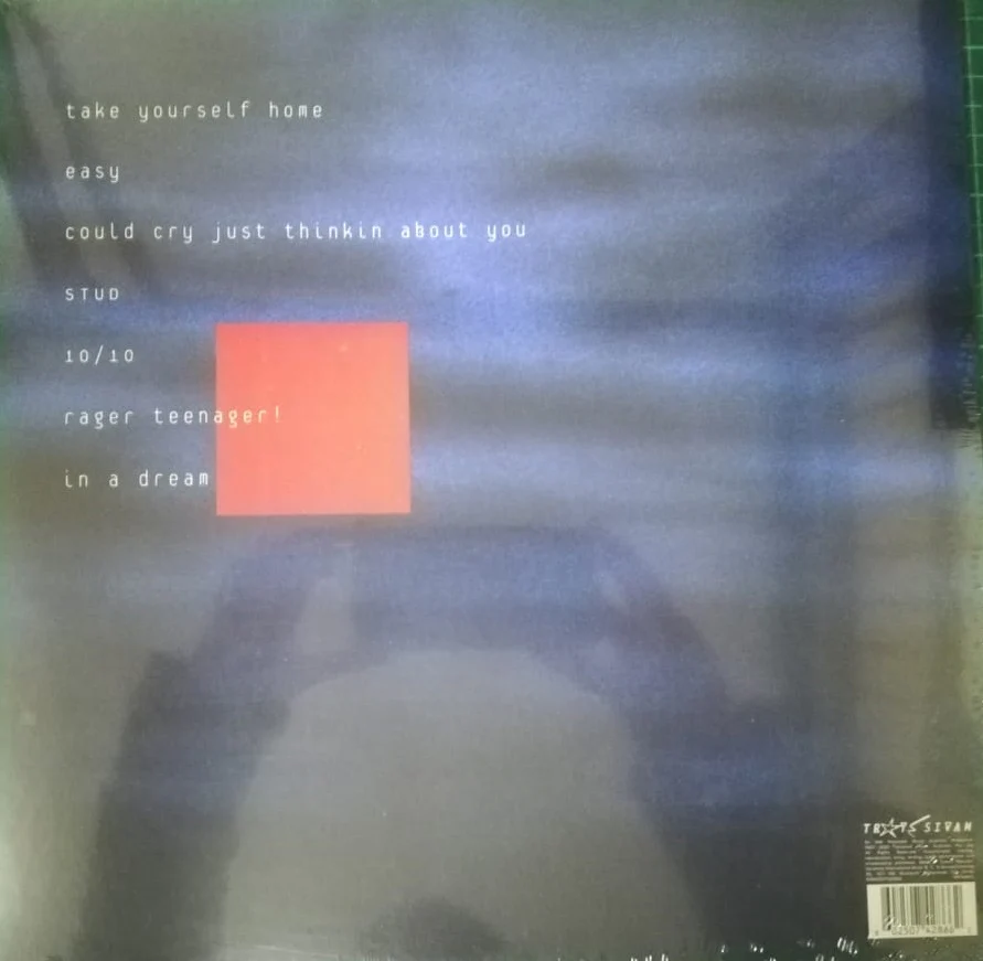 LP Troye Sivan – In A Dream - Image 2
