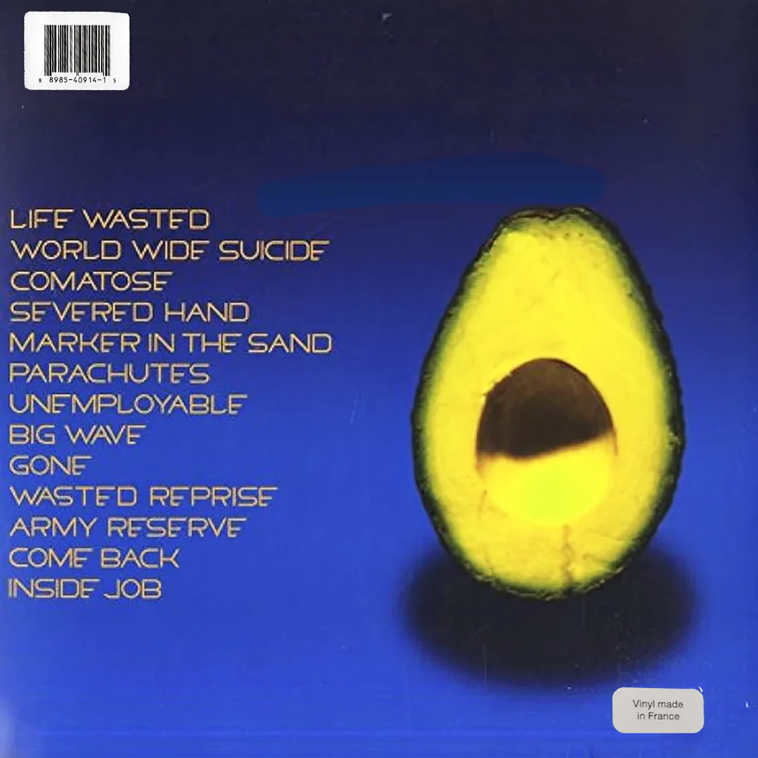 LPX2 Pearl Jam – Pearl Jam - Image 2