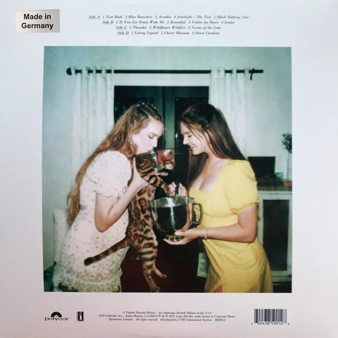 LPX2 Lana Del Rey - Blue Banisters - Image 2