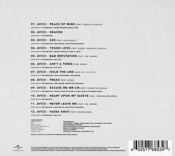 TIM 2019 AVICII - Image 2
